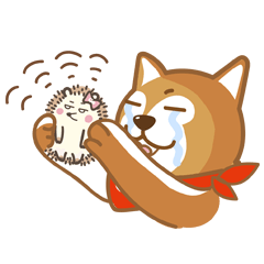 [LINEスタンプ] SHIBAdog and Hedgehog