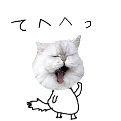 [LINEスタンプ] 肉まん顔のペルシャ猫リキ Ver.2