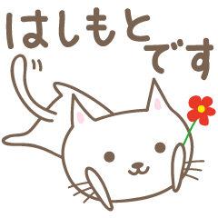 [LINEスタンプ] はしもとさんネコ cat for Hashimoto