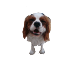 [LINEスタンプ] cat bird dog