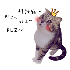 [LINEスタンプ] DondongMaini'chi