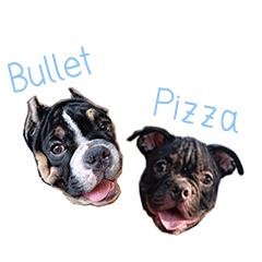 [LINEスタンプ] Bullet＆Pizzaの画像（メイン）