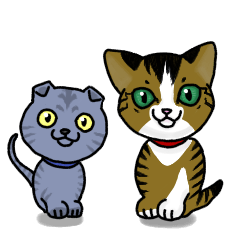 [LINEスタンプ] 我が家のノラ猫ハナちゃん♀ 