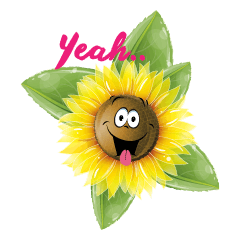 [LINEスタンプ] sun funny flower