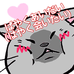 [LINEスタンプ] 顔むにゅ(ねこ)