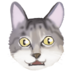 [LINEスタンプ] Dumbfounded cat