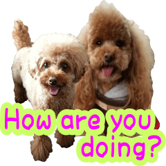 [LINEスタンプ] ロビンとサラ