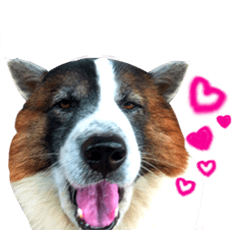 [LINEスタンプ] MILO DOG 