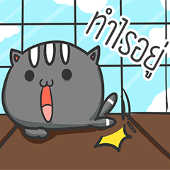 [LINEスタンプ] Kitten 3Tail