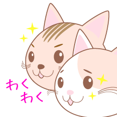 [LINEスタンプ] 【猫】可愛い2匹のネコスタンプ