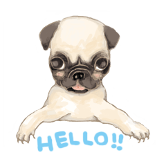 [LINEスタンプ] いやされどうぶつたち