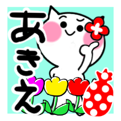 [LINEスタンプ] あきえさんが使うねこスタンプ