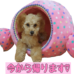 [LINEスタンプ] 鈴木家の人々