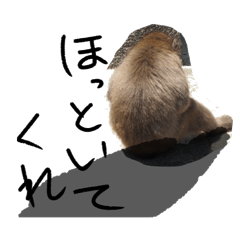 [LINEスタンプ] リアルモンキーももちゃん