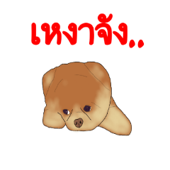 [LINEスタンプ] Animal789 V2