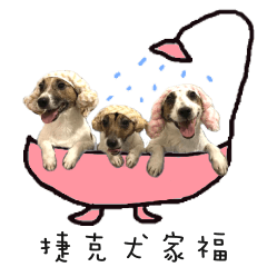 [LINEスタンプ] Family of DanDan