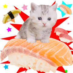 [LINEスタンプ] ねこ寿司屋マンチ ～顔デカ猫シリーズ4～の画像（メイン）