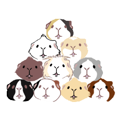 [LINEスタンプ] talking guinea pigs！