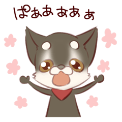 [LINEスタンプ] 愉快なチワワ一家 