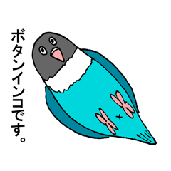 [LINEスタンプ] ボタンインコです。 