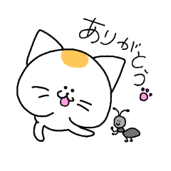 [LINEスタンプ] ねこと時々ぴよこ