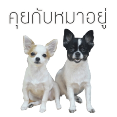 [LINEスタンプ] MeeMee and HengHeng