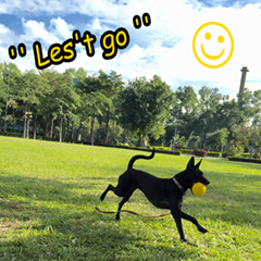 [LINEスタンプ] Dog＆MI
