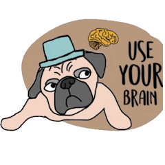 [LINEスタンプ] Thonggon, a nice pug in May