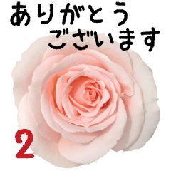 [LINEスタンプ] バラの花と敬語メッセージの画像（メイン）