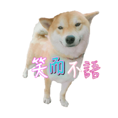 [LINEスタンプ] yenyenfashi