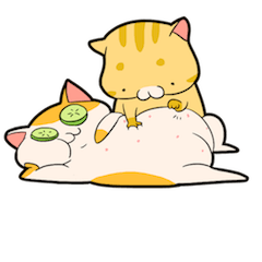 [LINEスタンプ] Wico Cat Stickersの画像（メイン）