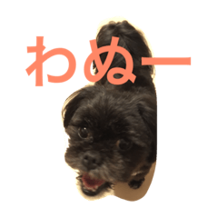 [LINEスタンプ] まっくろミル