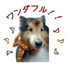 [LINEスタンプ] Lucky Dog vol.1