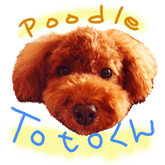 [LINEスタンプ] 僕はプードルのととだよ