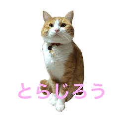 [LINEスタンプ] とらじろうスタンプ