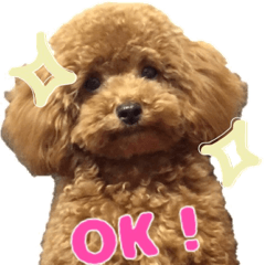[LINEスタンプ] ねねスタ 1