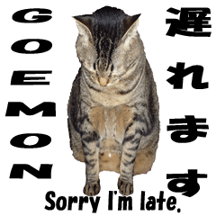 [LINEスタンプ] Lovely cat Goemon 2nd