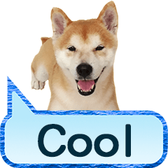[LINEスタンプ] My family Chirp (English) 
