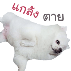 [LINEスタンプ] Chimi the comics