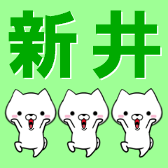 [LINEスタンプ] 超★新井(あらい・アライ)なイヌの画像（メイン）