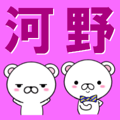 [LINEスタンプ] 超★河野(こうの・かわの)なクマ