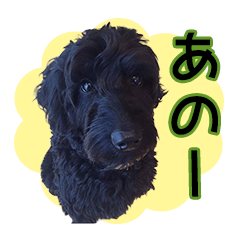 [LINEスタンプ] ラブ＆花