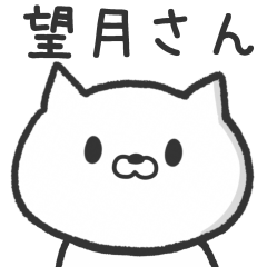 [LINEスタンプ] 望月さんが使うネコの名前スタンプ