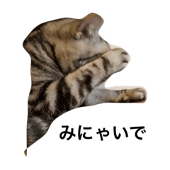 [LINEスタンプ] にゃんこ村