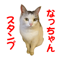 [LINEスタンプ] 愛猫のスタンプなつちゃん