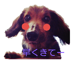 [LINEスタンプ] かめと fetchpriority=high