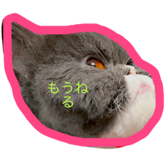 [LINEスタンプ] ケムリキャット