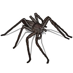 [LINEスタンプ] Handsome Spider (J)