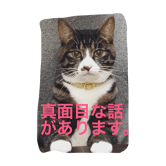[LINEスタンプ] 金＆銀