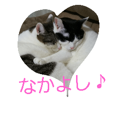 [LINEスタンプ] スリーキャッツ